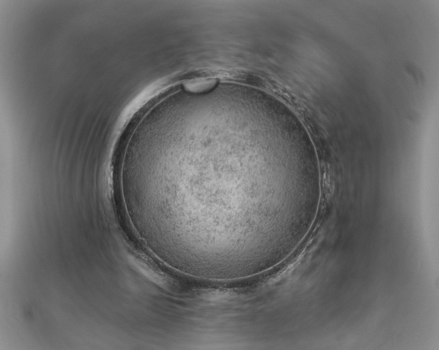 X0000112780246200908201534