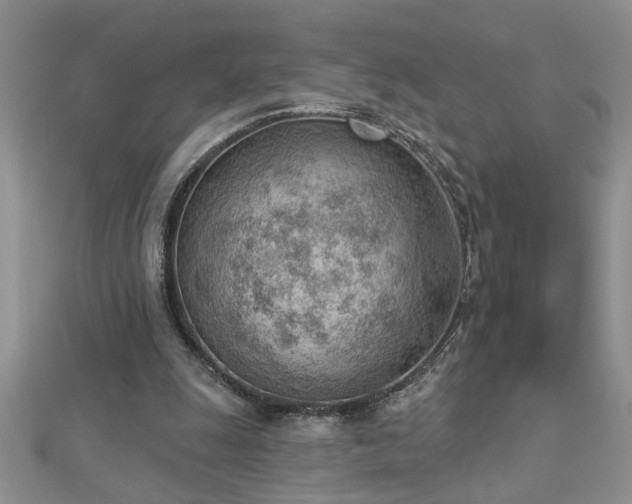 X0000112780247200908201534