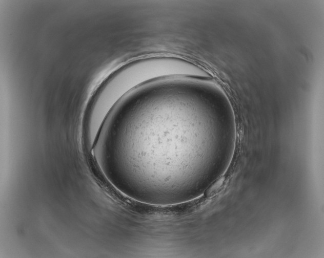 X0000112780248200908201534