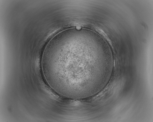 X0000112780249200908201534