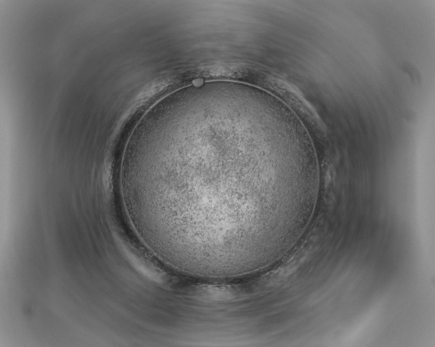 X0000112780250200908201534