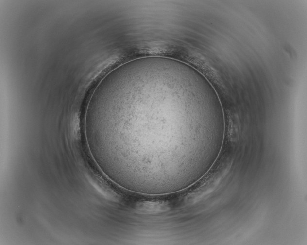 X0000112780251200908201534