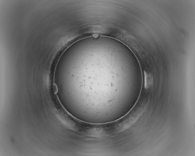 X0000112780252200908201534