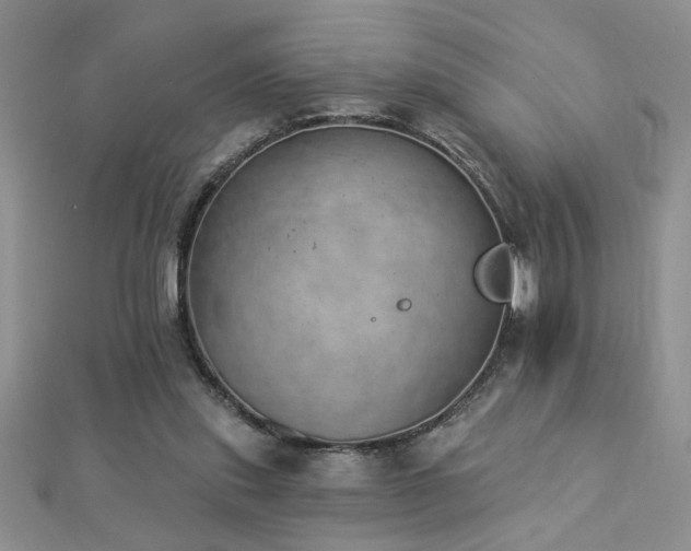 X0000112780253200908201534