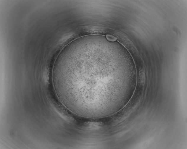 X0000112780255200908201535