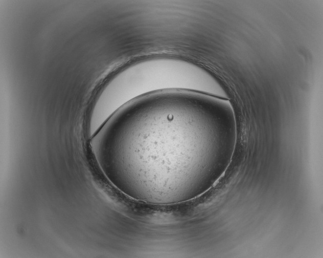 X0000112780256200908201535