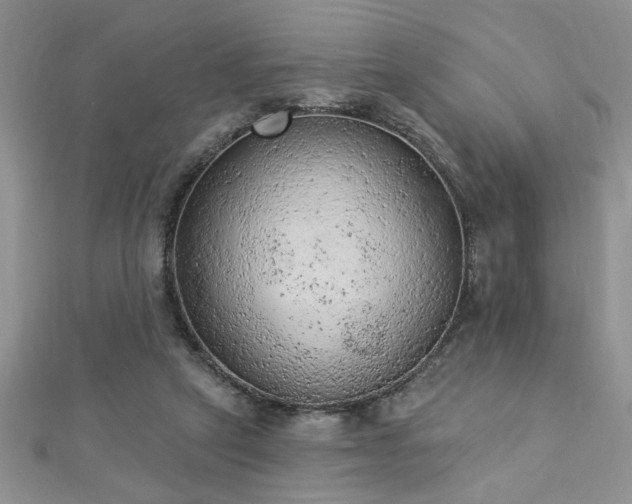 X0000112780257200908201535