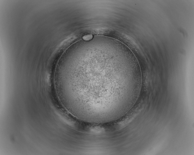 X0000112780258200908201535