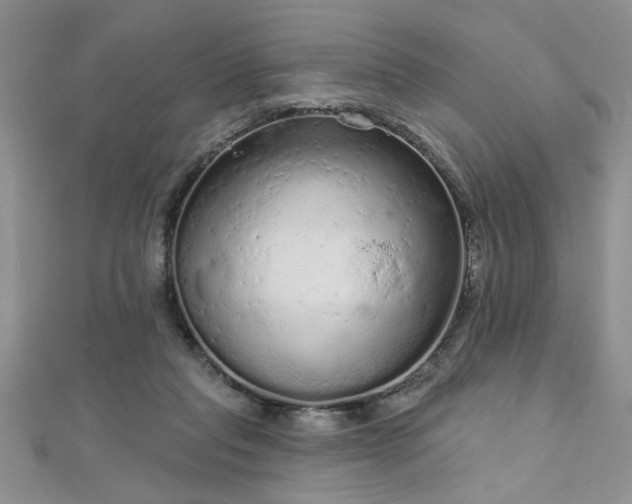 X0000112780261200908201535