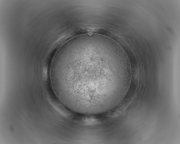 X0000112780262200908201535