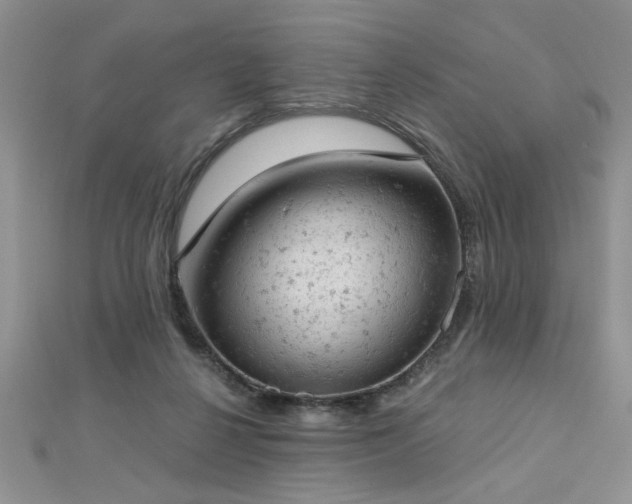 X0000112780264200908201535