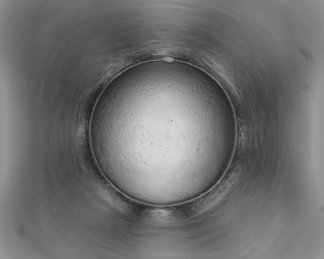 X0000112780265200908201535