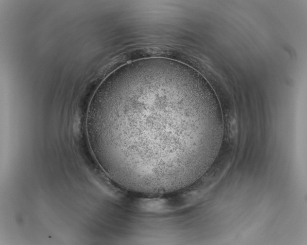 X0000112780266200908201535