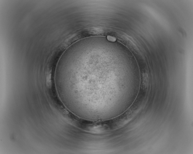 X0000112780267200908201535