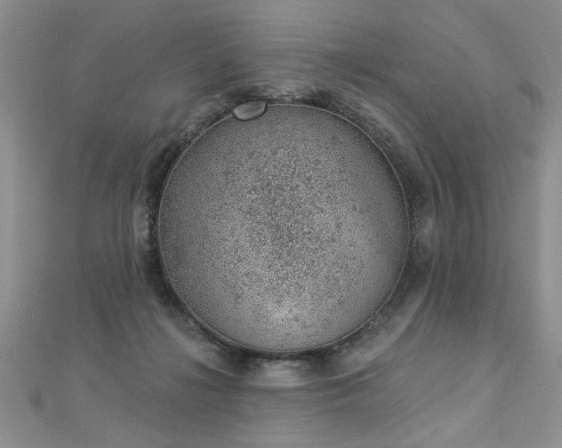 X0000112780268200908201535