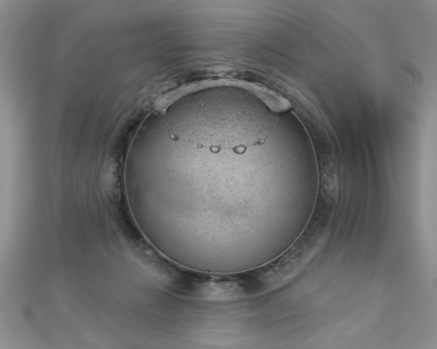 X0000112780270200908201535