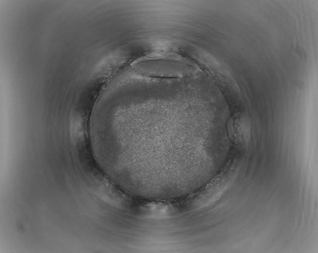 X0000112780272200908201535