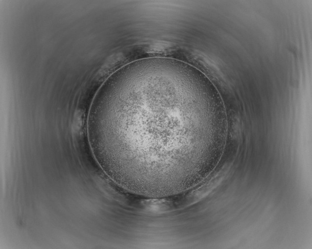 X0000112780273200908201535