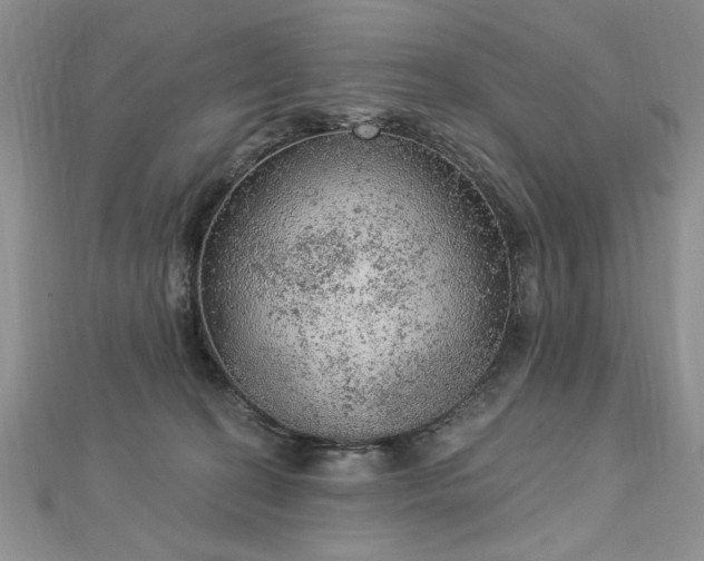 X0000112780274200908201535