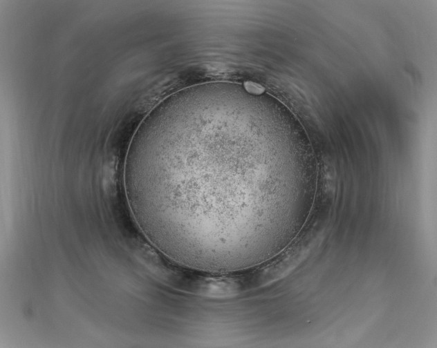 X0000112780275200908201535