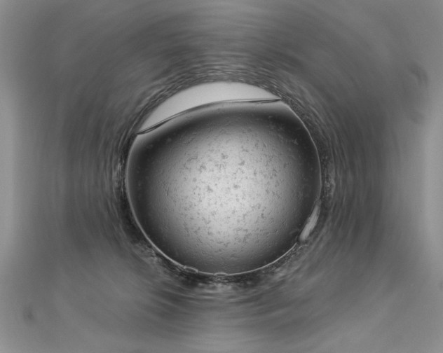 X0000112780276200908201535