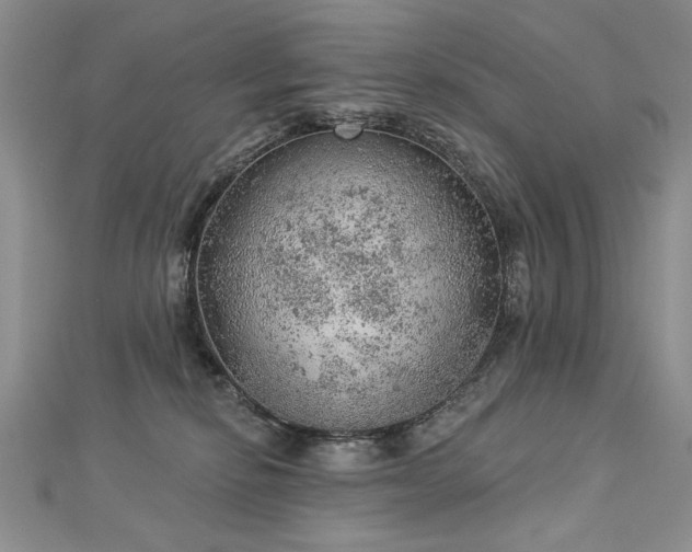 X0000112780278200908201535