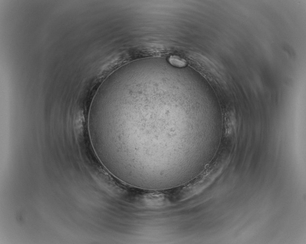 X0000112780279200908201535