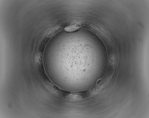 X0000112780280200908201535