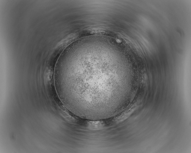 X0000112780281200908201535