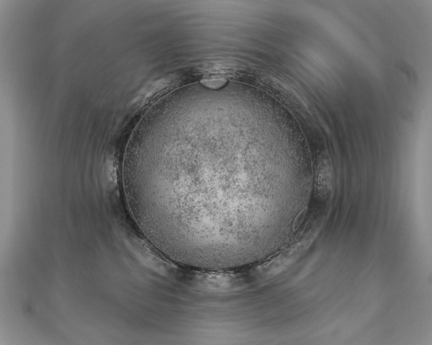 X0000112780282200908201535