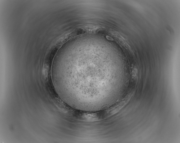 X0000112780283200908201535