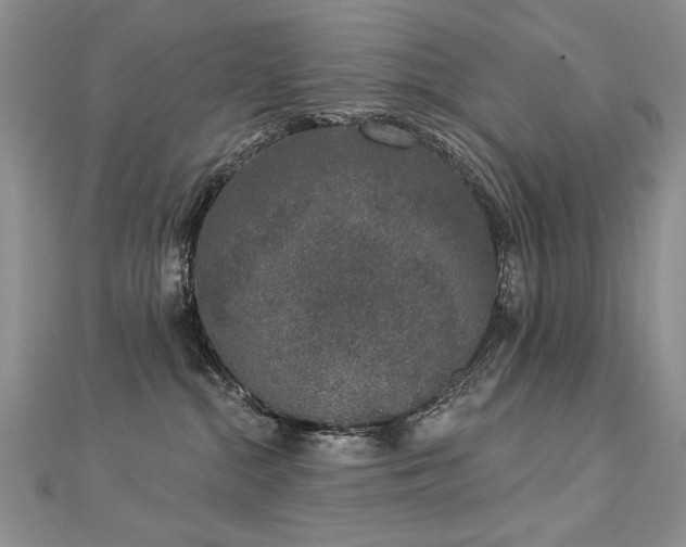 X0000112780284200908201535