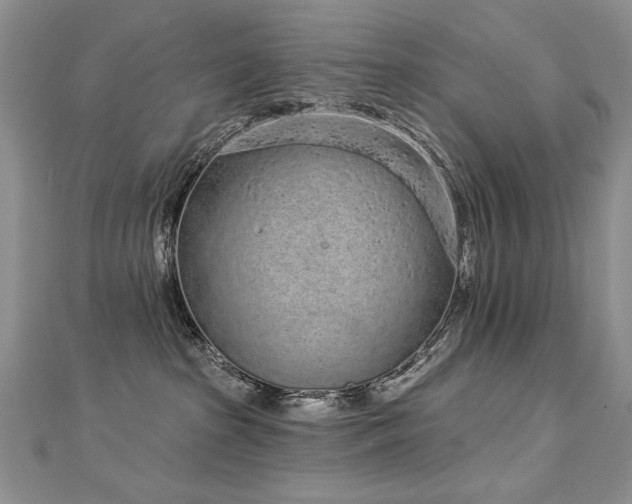 X0000112780285200908201535