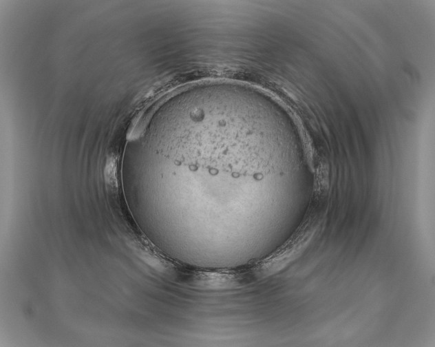 X0000112780286200908201535