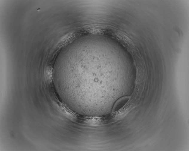 X0000112780288200908201535