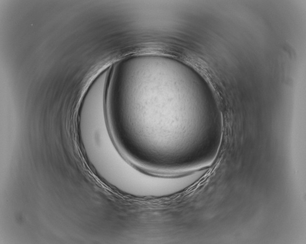 X0000112780289200908201534