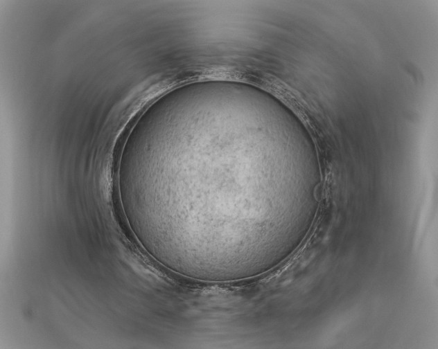 X0000112780290200908201534