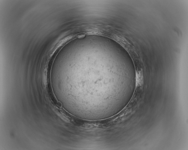 X0000112780291200908201534