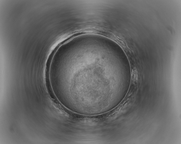 X0000112780292200908201534