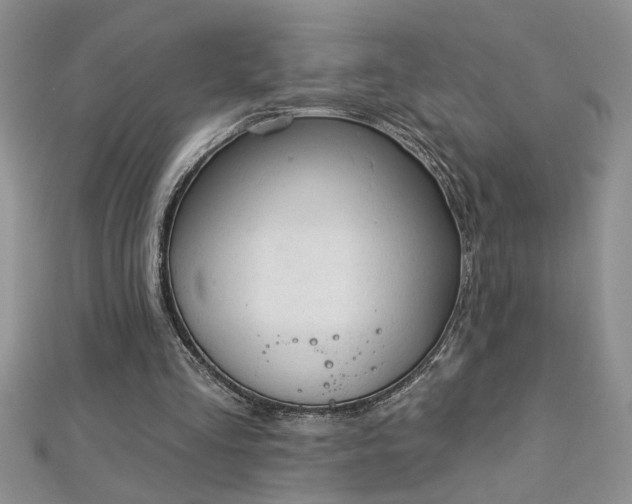 X0000112780293200908201534