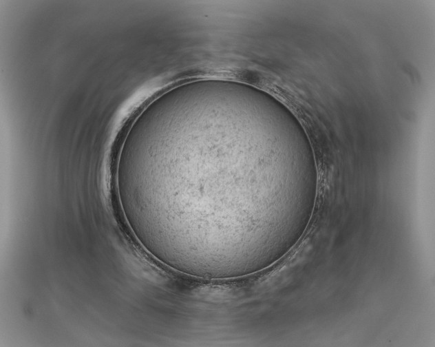 X0000112780294200908201534