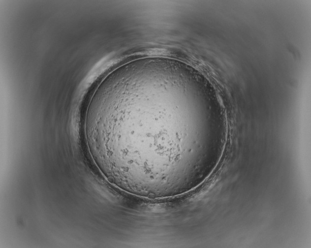 X0000112780295200908201534