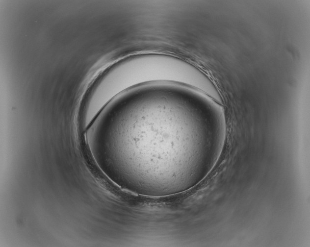 X0000112780296200908201534