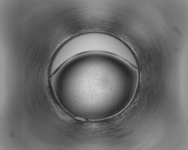 X0000112780297200908201534