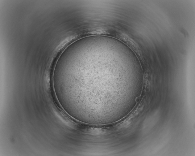 X0000112780298200908201534