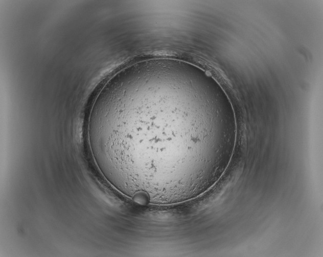 X0000112780299200908201534