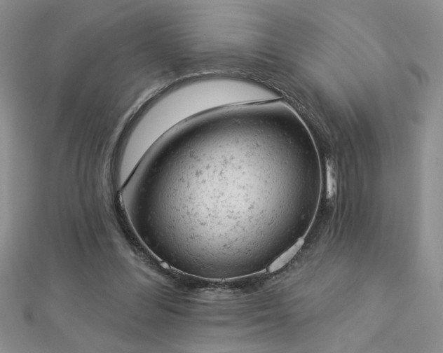 X0000112780300200908201534