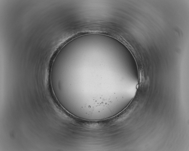 X0000112780301200908201534