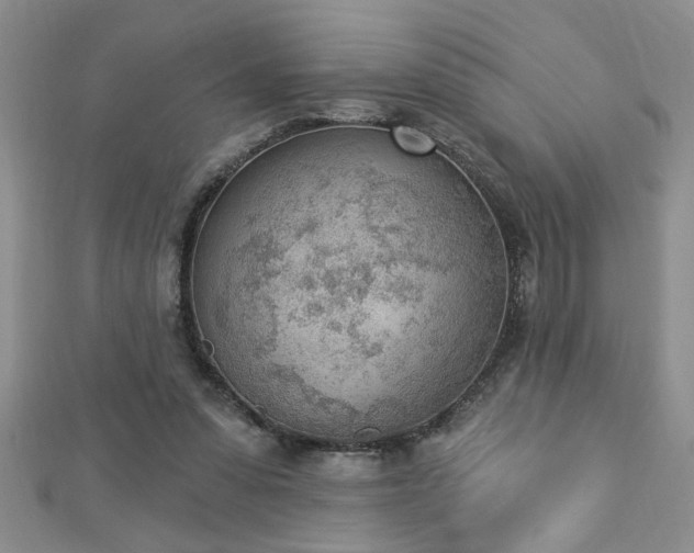 X0000112780303200908201534