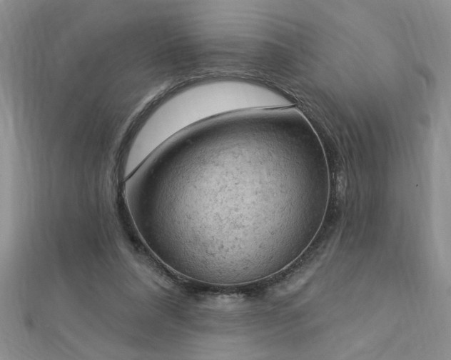 X0000112780304200908201534